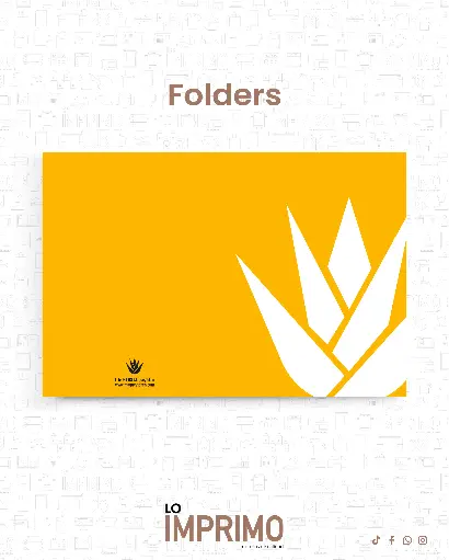 Folders-10 pz.